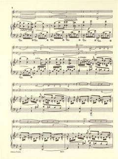 Trio g-Moll op. 8 (Frédéric Chopin) 