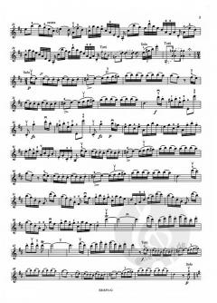 Konzertstück D-Dur D 345 von Franz Schubert für Violine und Klavier im Alle Noten Shop kaufen