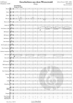 Geschichten aus dem Wienerwald (Johann Strauss (Sohn)) 