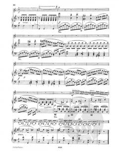 Konzert Nr. 1 c-Moll op. 26 von Louis Spohr für Klarinette und Orchester im Alle Noten Shop kaufen