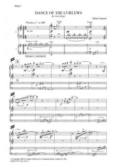 Dance Of The Curlews von Rhian Samuel 