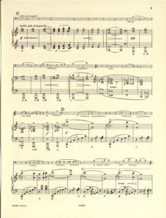 Sonate a-moll op. 36 von Edvard Grieg für Violoncello und Klavier im Alle Noten Shop kaufen