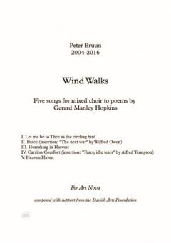 Wind Walks (Peter Bruun) 