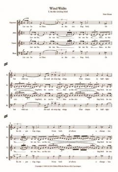 Wind Walks (Peter Bruun) 