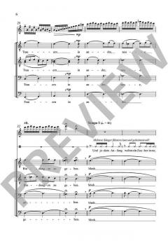 Stufen von Alwin Michael Schronen 