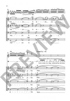 Stufen von Alwin Michael Schronen 