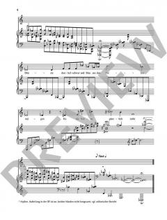 Sämtliche Lieder Band 3 von Erwin Schulhoff 