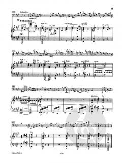 Konzert op. 129 von Robert Schumann für Violoncello und Klavier im Alle Noten Shop kaufen