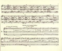 Orgelwerke Band 5 von Johann Sebastian Bach im Alle Noten Shop kaufen - EP244