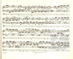 Orgelwerke Band 7 von Johann Sebastian Bach im Alle Noten Shop kaufen - EP246