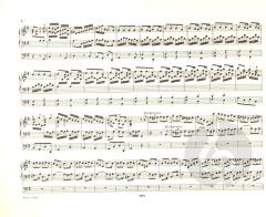 Orgelwerke Band 8 von Johann Sebastian Bach im Alle Noten Shop kaufen - EP247