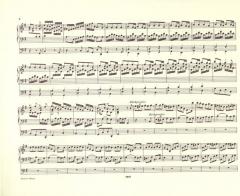 Orgelwerke Band 8 von Johann Sebastian Bach im Alle Noten Shop kaufen - EP247