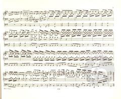 Orgelwerke Band 8 von Johann Sebastian Bach im Alle Noten Shop kaufen - EP247