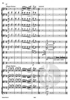 Peer Gynt Suite Nr. 2 op. 55 von Edvard Grieg für Orchester im Alle Noten Shop kaufen (Partitur)