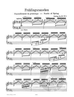 Frühlingsrauschen op. 32 / 3 von Christian Sinding für Klavier im Alle Noten Shop kaufen