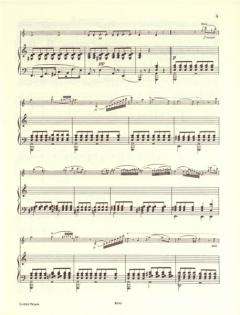 Konzert in a-Moll op. 104 von Charles-Auguste de Beriot für Violine und Orchester im Alle Noten Shop kaufen