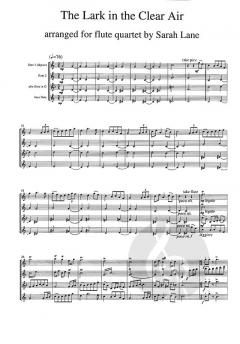 The Lark in the Clear Air von Sarah Lane 