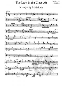 The Lark in the Clear Air von Sarah Lane 