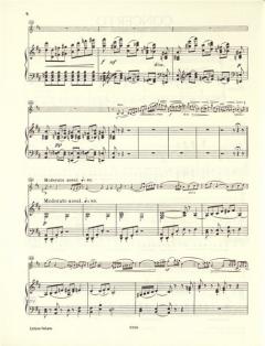 Konzert D-Dur op. 35 von Pjotr Iljitsch Tschaikowski für Violine und Orchester im Alle Noten Shop kaufen