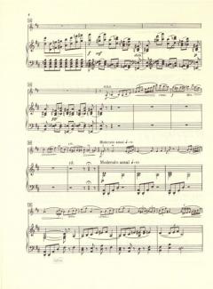 Konzert D-Dur op. 35 von Pjotr Iljitsch Tschaikowski 