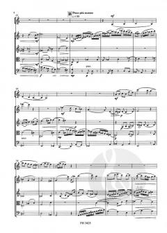 Fantasie über ein Thema von Joseph Haydn (Eberhard Klemmstein) 