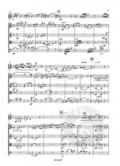 Fantasie über ein Thema von Joseph Haydn (Eberhard Klemmstein) 