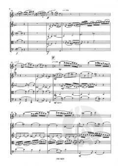 Fantasie über ein Thema von Joseph Haydn (Eberhard Klemmstein) 