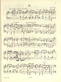 Klavierwerke Band 2 von Edvard Grieg im Alle Noten Shop kaufen