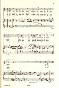 Lieder Band 2: 15 Magelone-Lieder und 18 ausgewählte Lieder von Johannes Brahms 