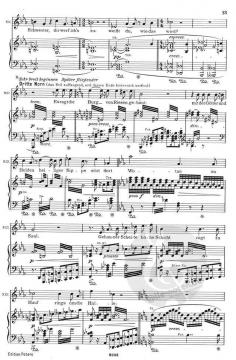 Götterdämmerung WWV 86 D von Richard Wagner 