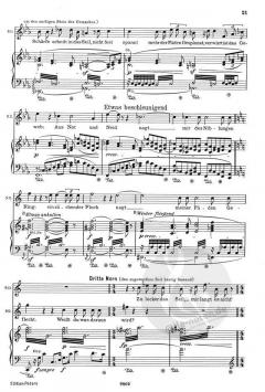 Götterdämmerung WWV 86 D von Richard Wagner 