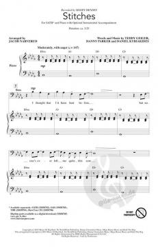 Stitches (Shawn Mendes) 