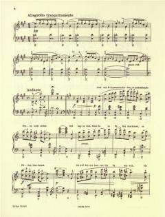 Solvejgs Lied und Wiegenlied aus Peer Gynt von Edvard Grieg 