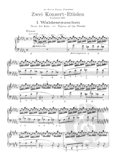 2 Konzertetüden von Franz Liszt 