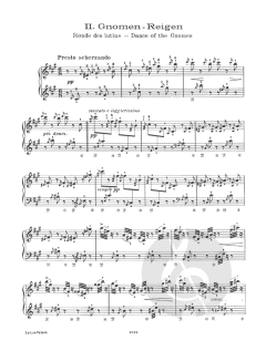 2 Konzertetüden von Franz Liszt 