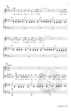 Stitches von Shawn Mendes (Download) 