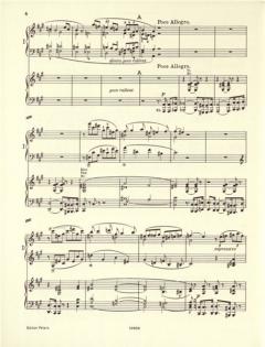 Symphonische Variationen von Cesar Franck für Klavier und Orchester (Ausgabe für 2 Klaviere) im Alle Noten Shop kaufen