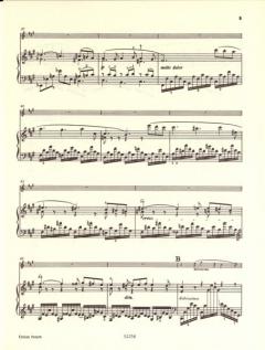 Sonate A-Dur von Cesar Franck 