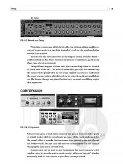 The Singer-Songwriter's Guide to Recording in the Home Studio (Shane Adams) 