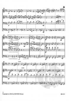 Tico Tico no Fuba` (Zequinha de Abreu) 