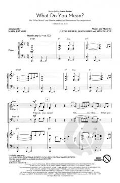 What Do You Mean? (Justin Bieber) 