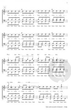 The Lion Sleeps Tonight (The Tokens) 