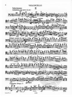 Konzert d-Moll von Edouard Lalo 