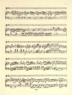 Violakonzert D-Dur op. 1 von Carl Stamitz im Alle Noten Shop kaufen