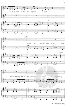 At Christmas (Sara Evans) 