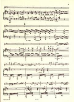 Konzert D-Dur op. 77 von Johannes Brahms für Violine und Orchester im Alle Noten Shop kaufen - EP3893