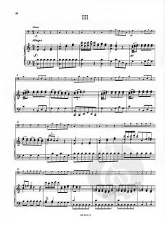 Konzert Nr. 1 von Luigi Boccherini 