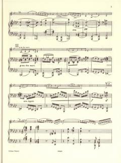 2 Sonaten op. 120 von Johannes Brahms für Klarinette (Viola) und Klavier im Alle Noten Shop kaufen