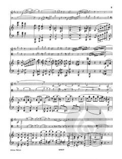 Klaviertrio Nr. 5 in a-moll op. 114 (Johannes Brahms) 