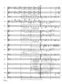 Rey's Theme (John Williams) 